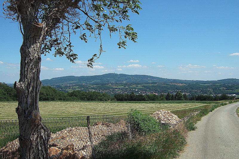 2010-06- (157).JPG